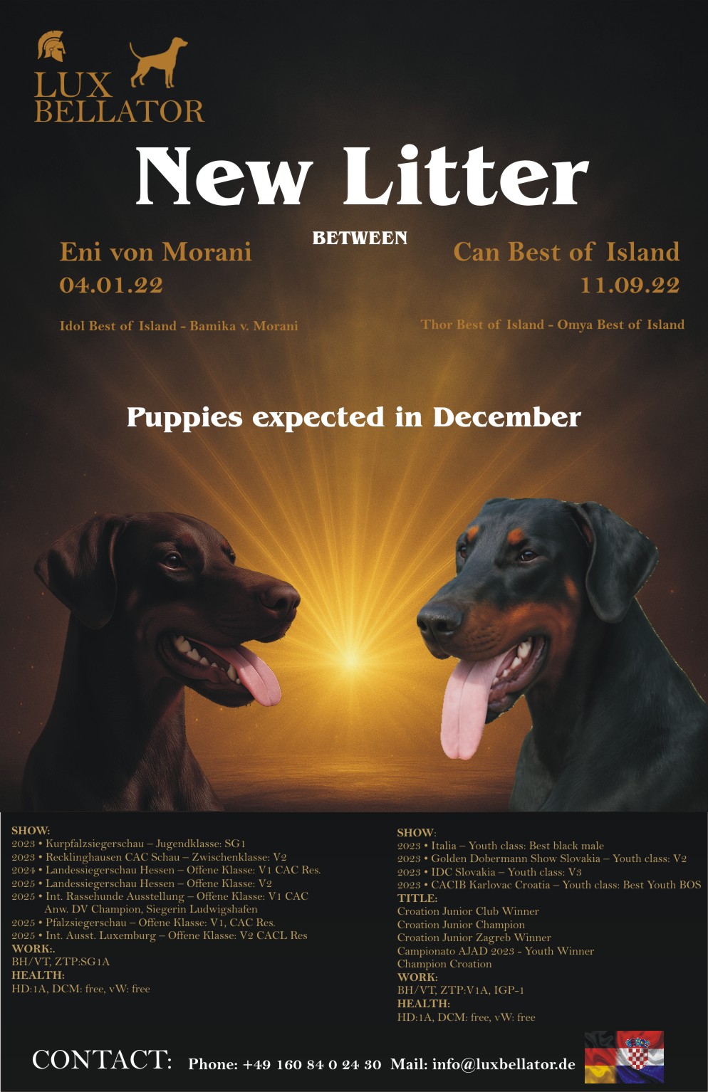 Wurfankündigung A-Wurf LUX Bellator