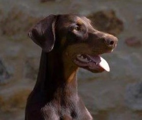 Eni von Morani – Portrait